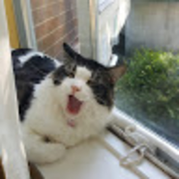 Meet your Posher, Monika - Picture 1 of 1